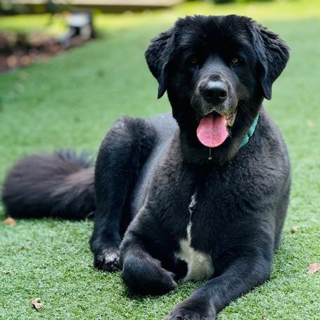 kathleen philly event planner